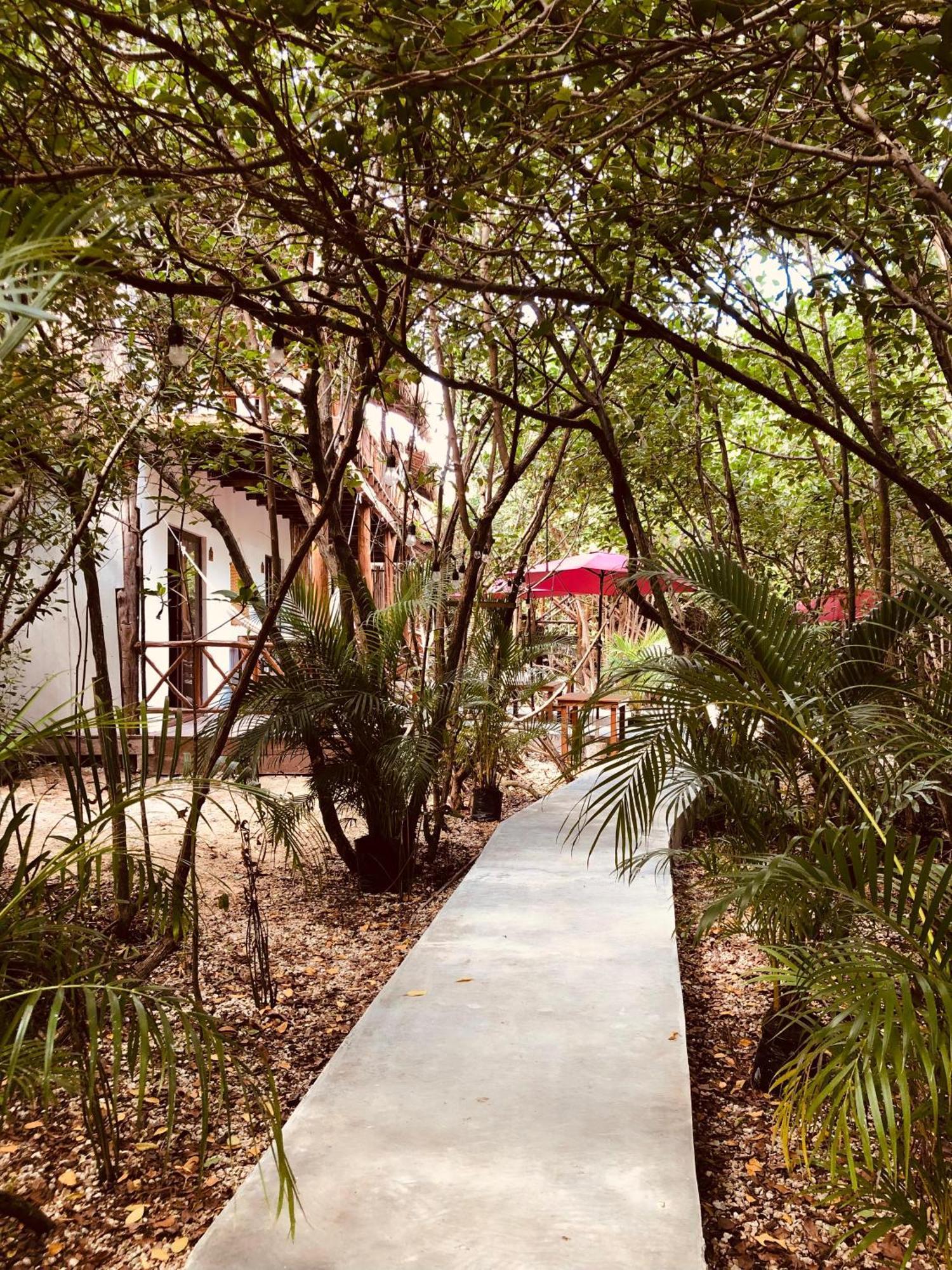 Lodge - Aldea Mangle & Cenote *
